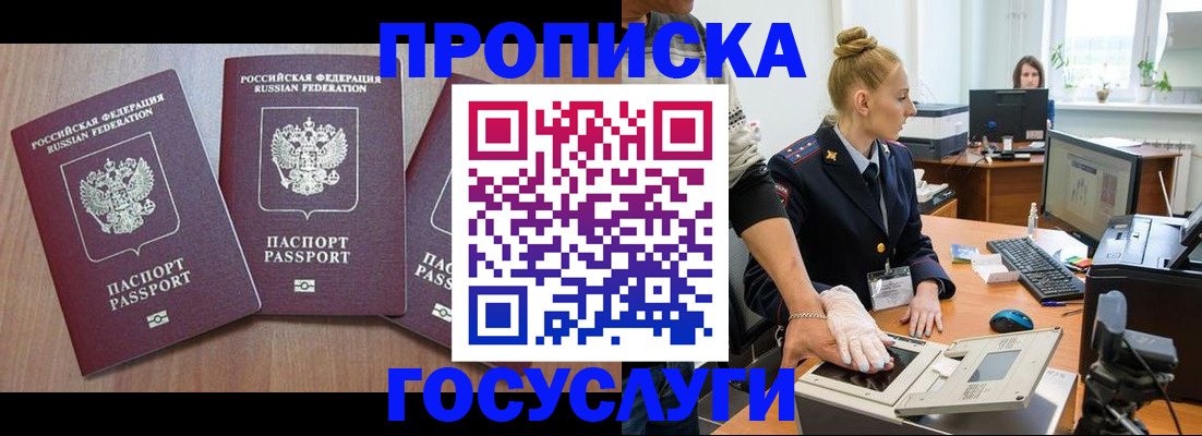 прописка поиск в Новозыбкове